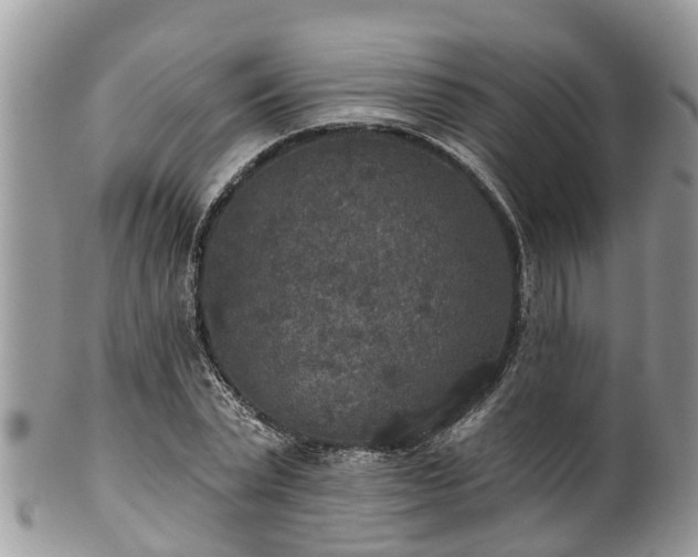 X0000102040783200807251413