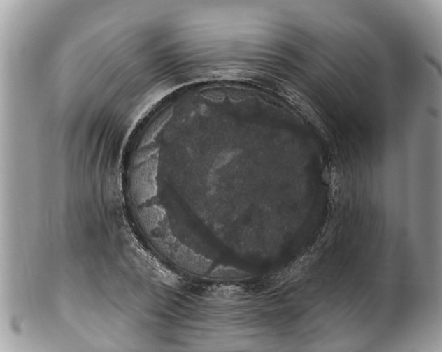 X0000102040784200807251413