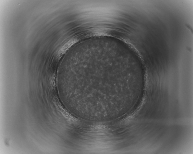 X0000102040785200807251413