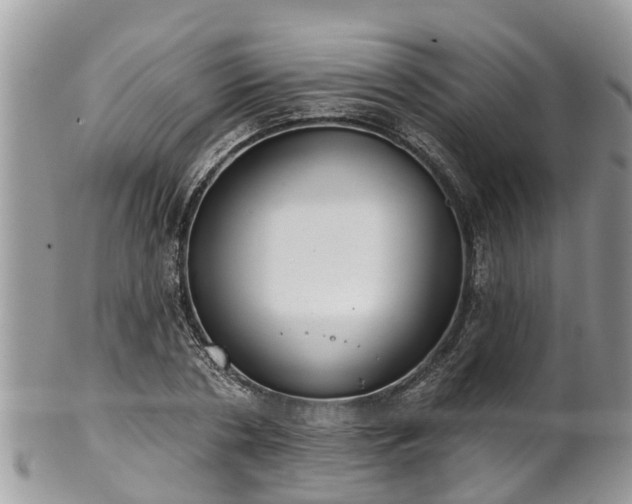 X0000102040786200807251413