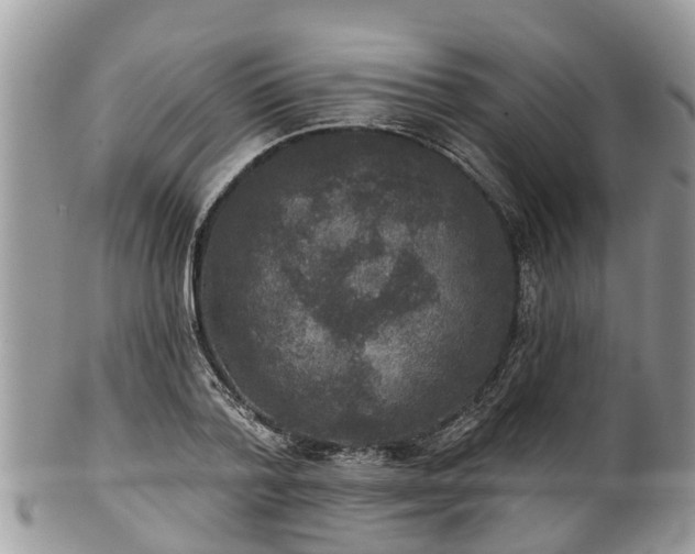 X0000102040788200807251413