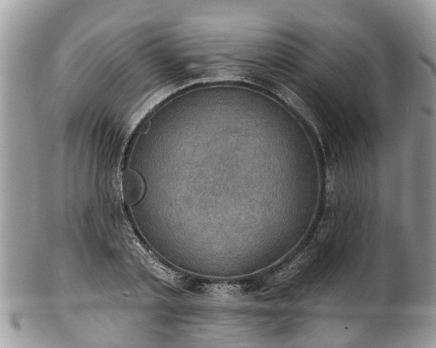 X0000102040789200807251413