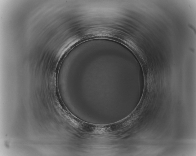 X0000102040790200807251413