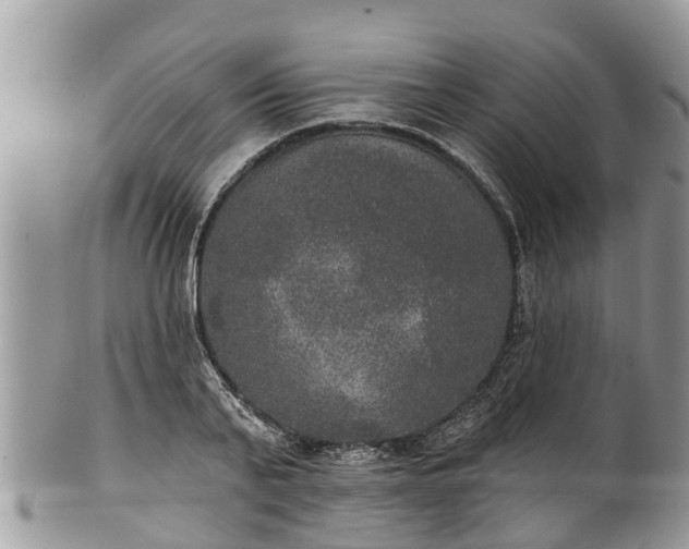 X0000102040791200807251413