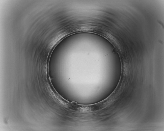 X0000102040794200807251413