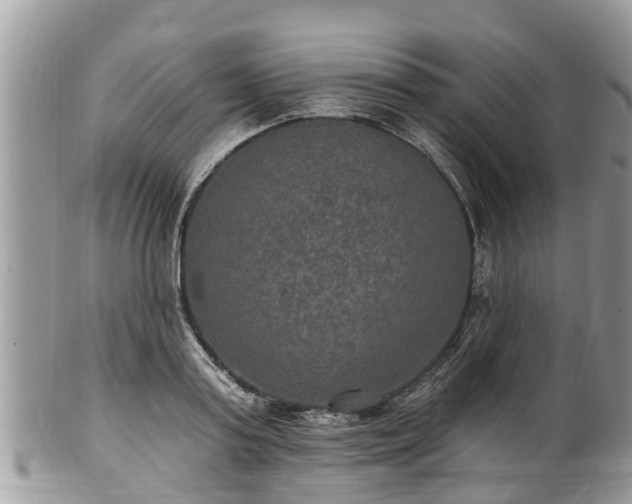 X0000102040795200807251413