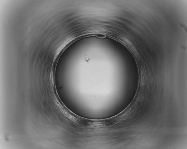 X0000102040796200807251413