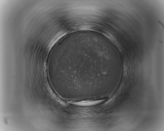 X0000102040798200807251413