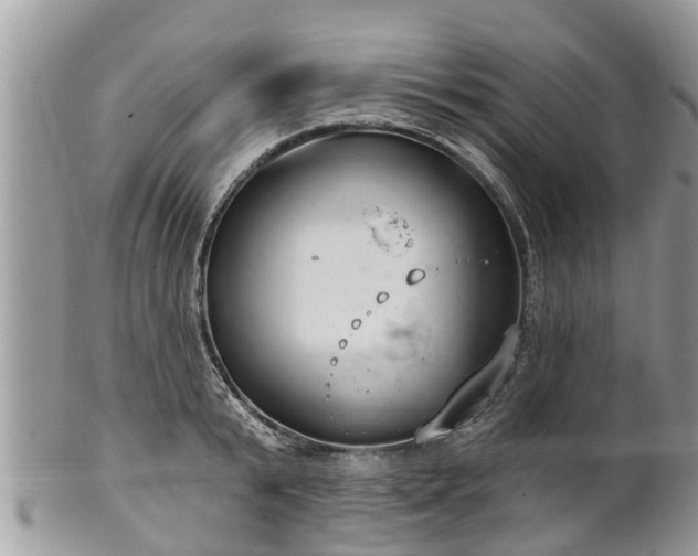 X0000102040799200807251413