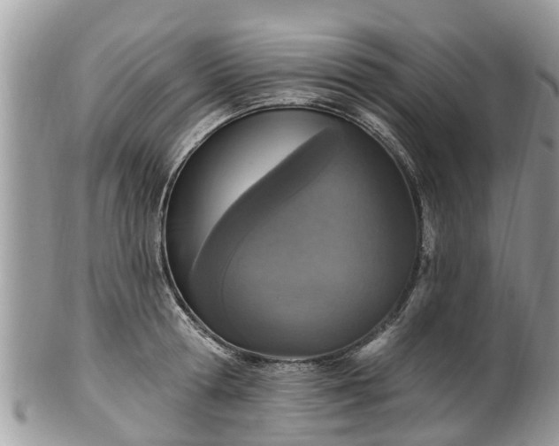 X0000102040802200807251413