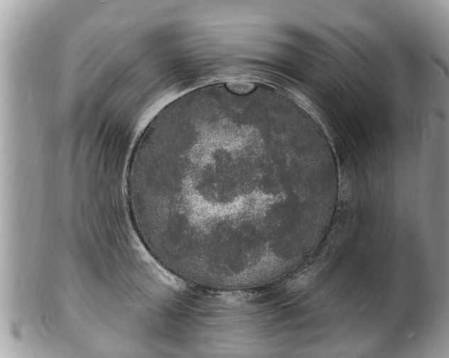 X0000102040803200807251413