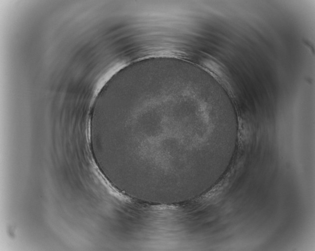 X0000102040804200807251413