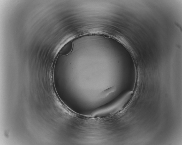 X0000102040806200807251413