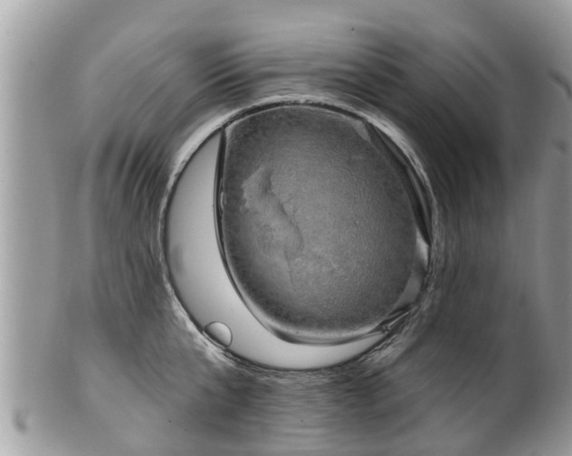 X0000102040807200807251413