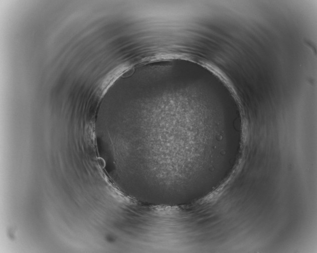 X0000102040809200807251413