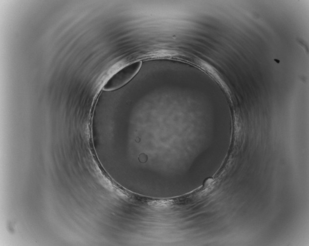 X0000102040810200807251413