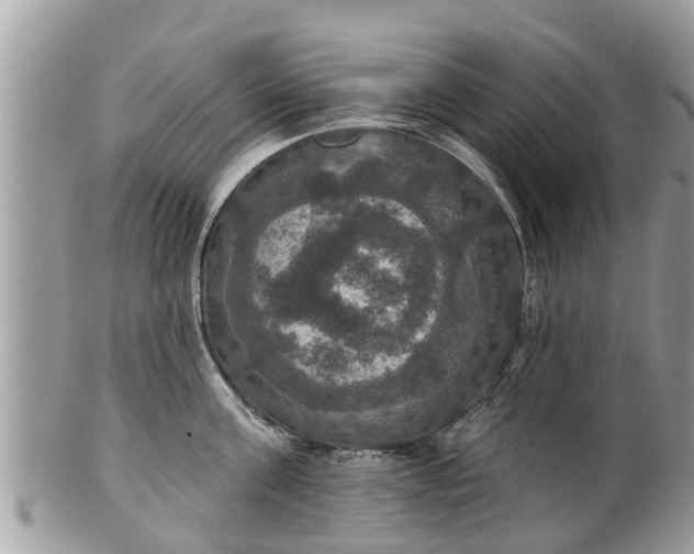 X0000102040811200807251413