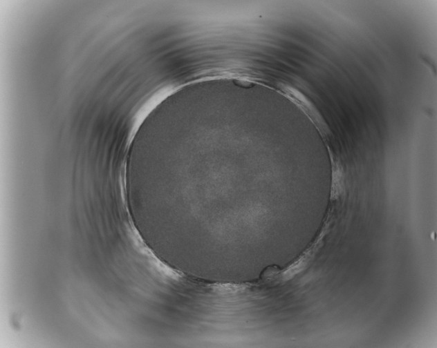 X0000102040812200807251413