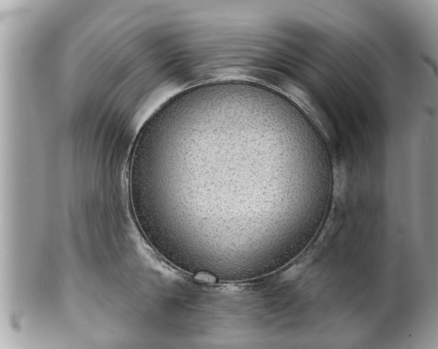 X0000102040814200807251413