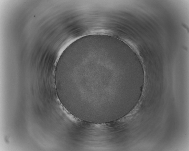 X0000102040816200807251413