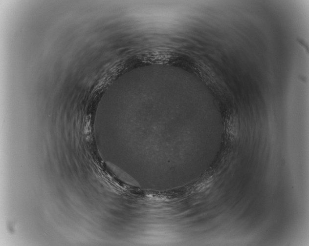 X0000102040818200807251412