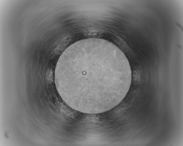 X0000102040820200807251412