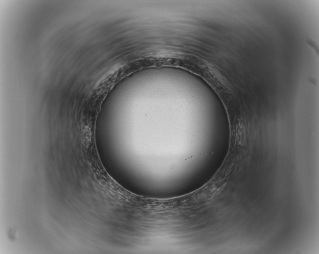 X0000102040821200807251412