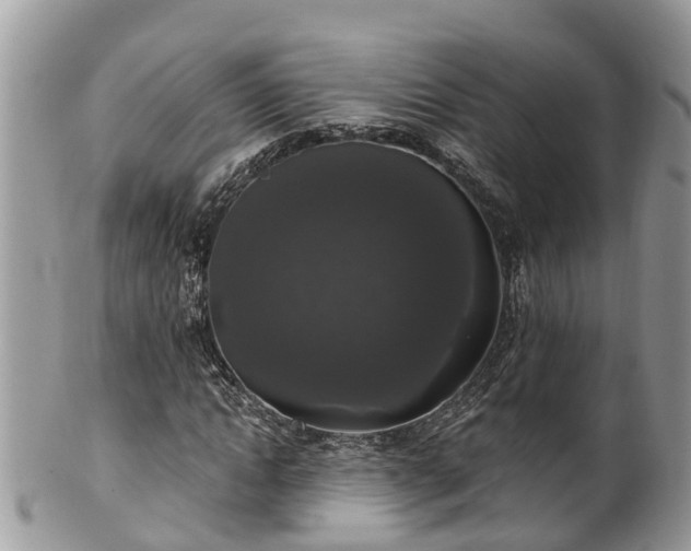 X0000102040822200807251412