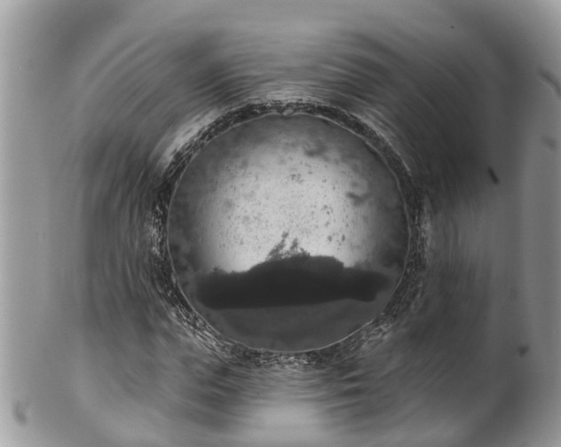 X0000102040823200807251412