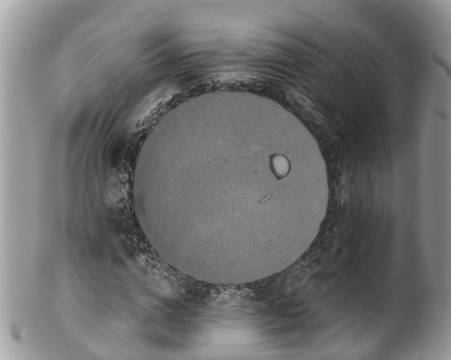 X0000102040824200807251412