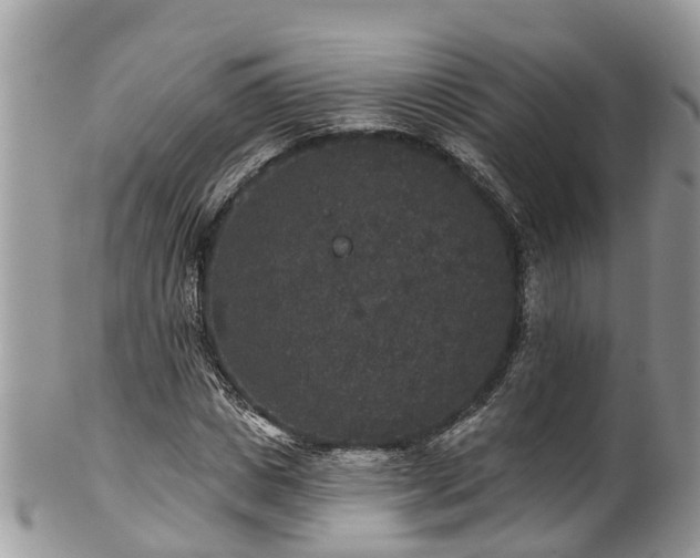 X0000102040825200807251412