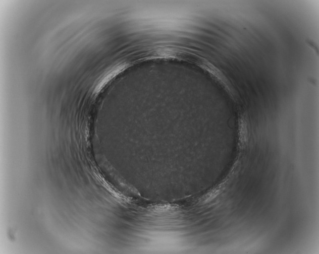 X0000102040826200807251412