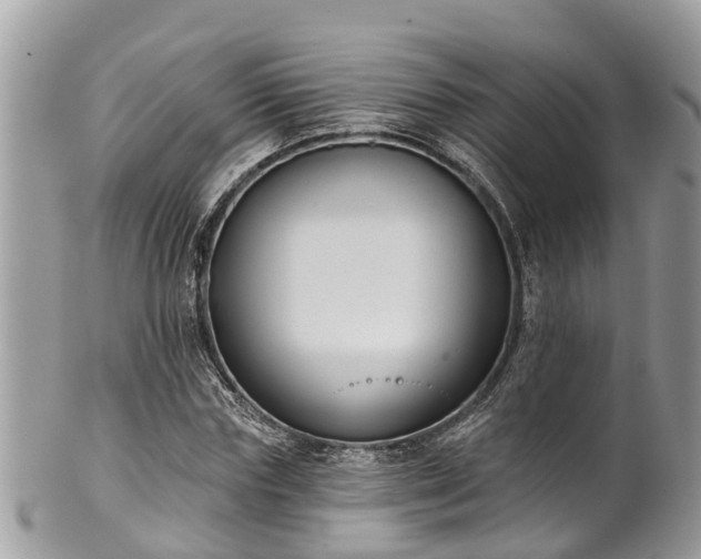 X0000102040827200807251412