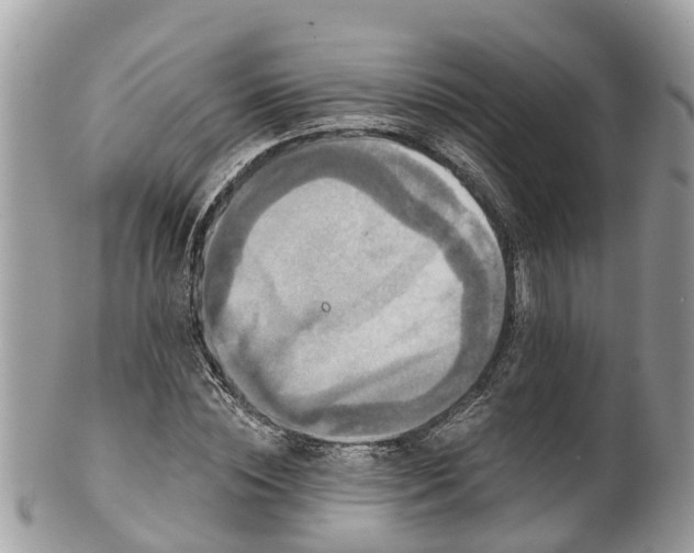 X0000102040828200807251412