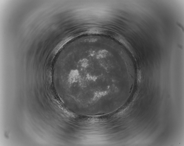 X0000102040829200807251412