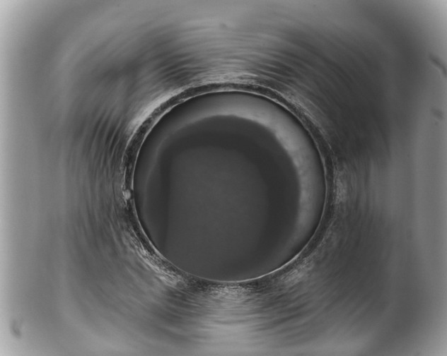 X0000102040830200807251412