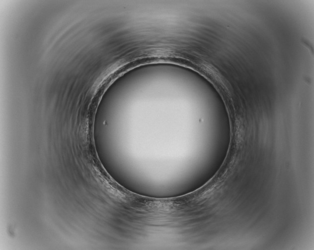 X0000102040831200807251412