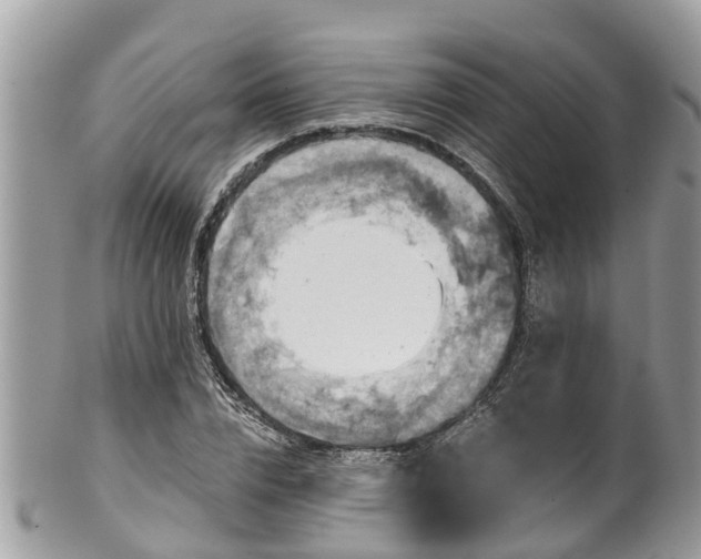 X0000102040832200807251412