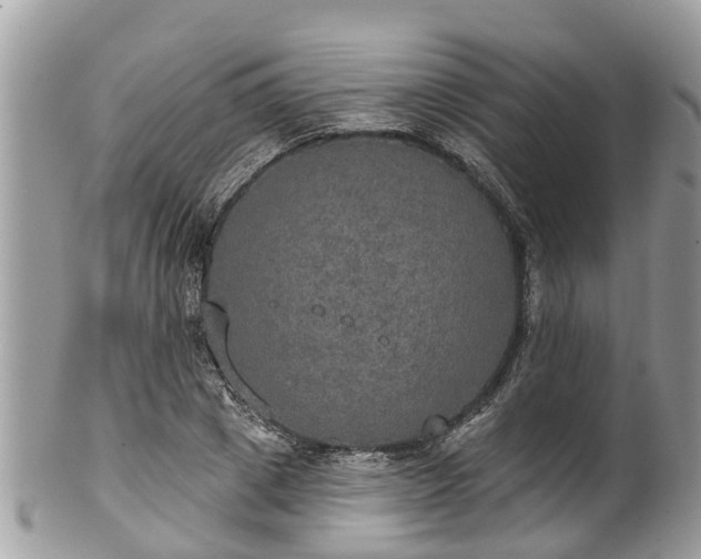 X0000102040833200807251412