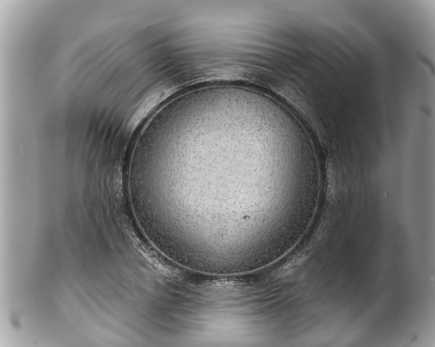 X0000102040834200807251412