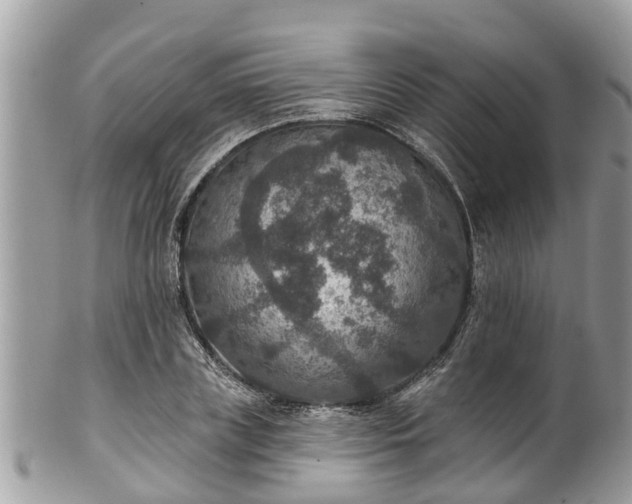 X0000102040835200807251412