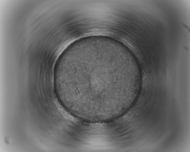 X0000102040836200807251412