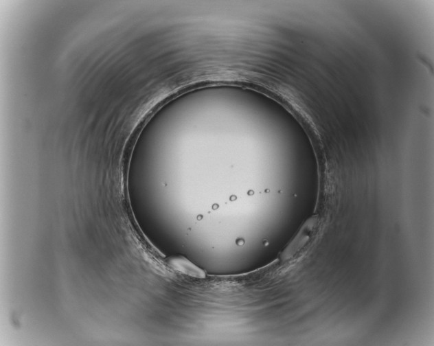 X0000102040837200807251412