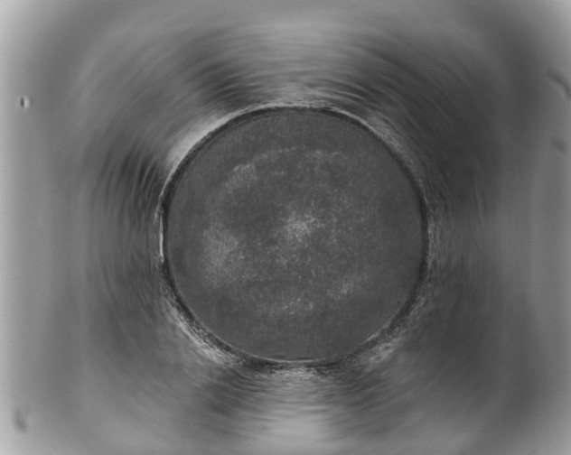 X0000102040838200807251412