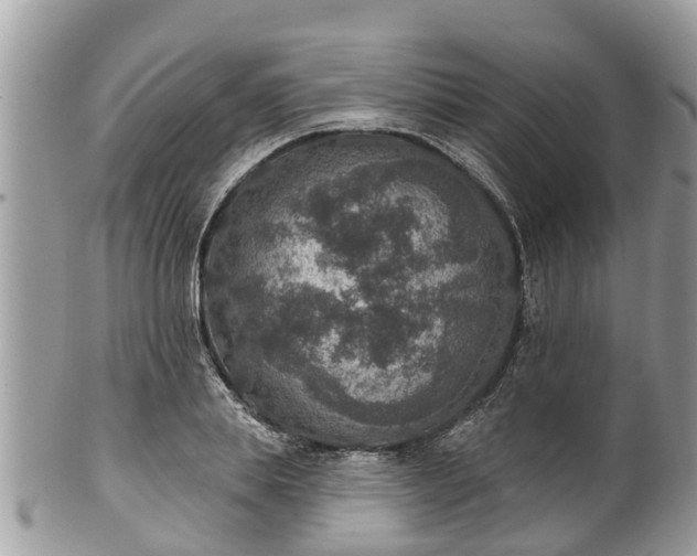 X0000102040839200807251412