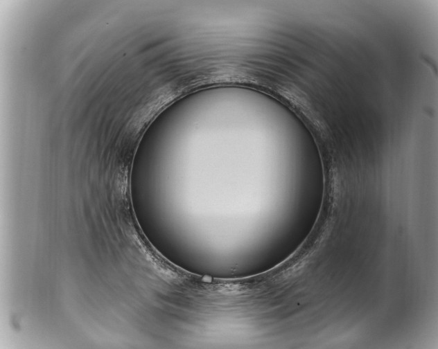 X0000102040841200807251412