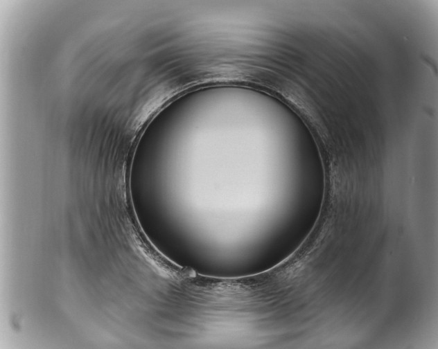 X0000102040842200807251412