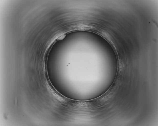 X0000102040843200807251412