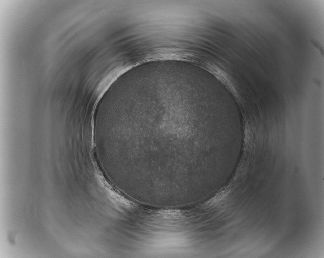 X0000102040844200807251413