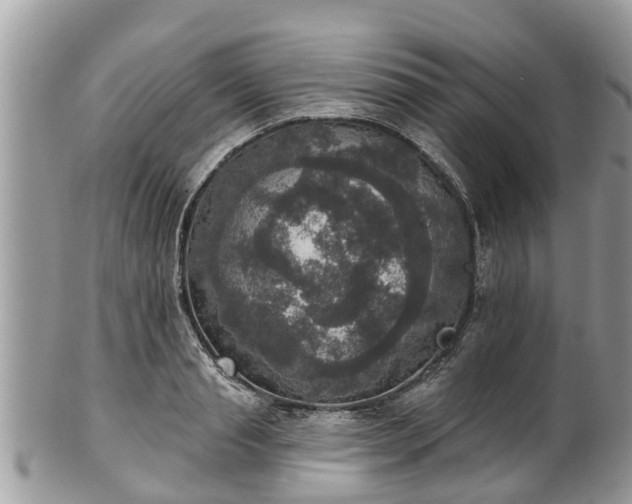 X0000102040845200807251413